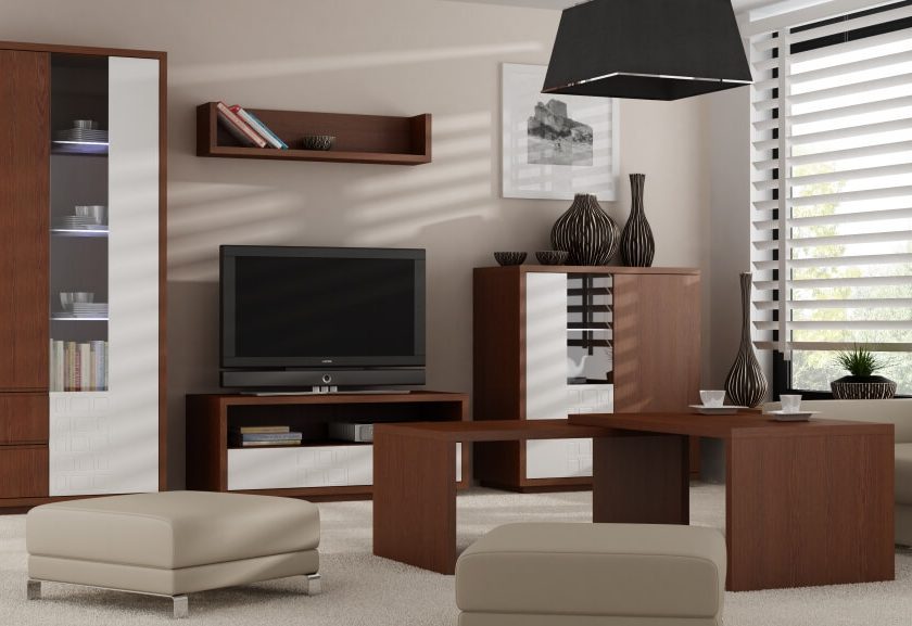 The visualisation presents a modern living room furnished with furniture from the Malibu collection. The collection includes a chest of drawers, a display cabinet, a rtv cabinet and a coffee table consisting of two separate elements, thanks to which we can freely arrange the furniture according to our needs. The furniture is in the colour scheme of white and dark wood - a reference to coconut.